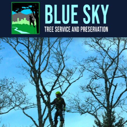blue sky preview
