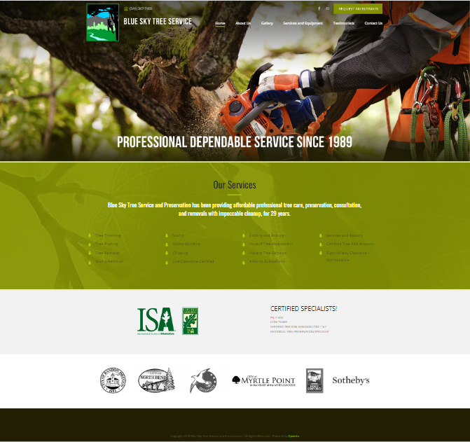 the website before
